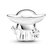 Load image into Gallery viewer, Star Wars Charms Collection