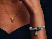 Load image into Gallery viewer, Star Wars Charms Collection
